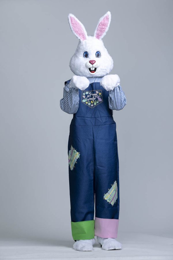 Easter Bunny Outfit - Image 5