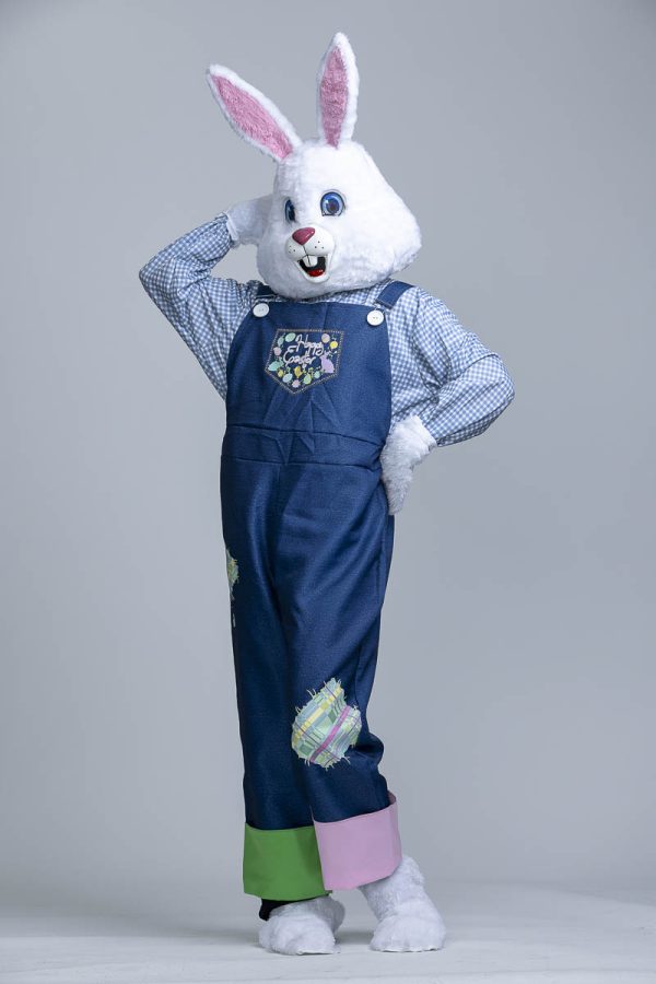 Easter Bunny Outfit - Image 4