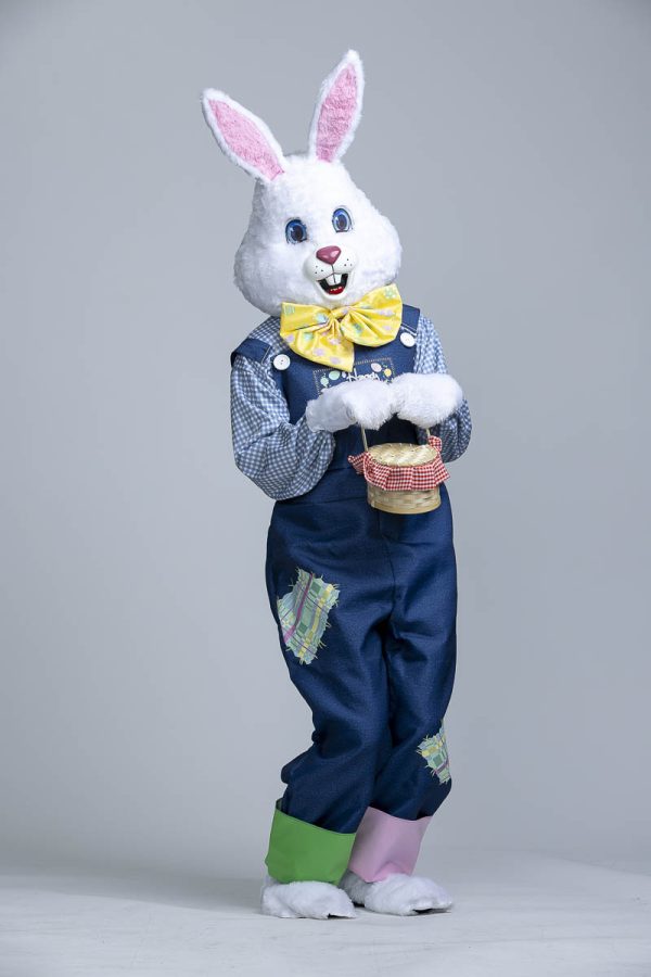 Easter Bunny Outfit - Image 3