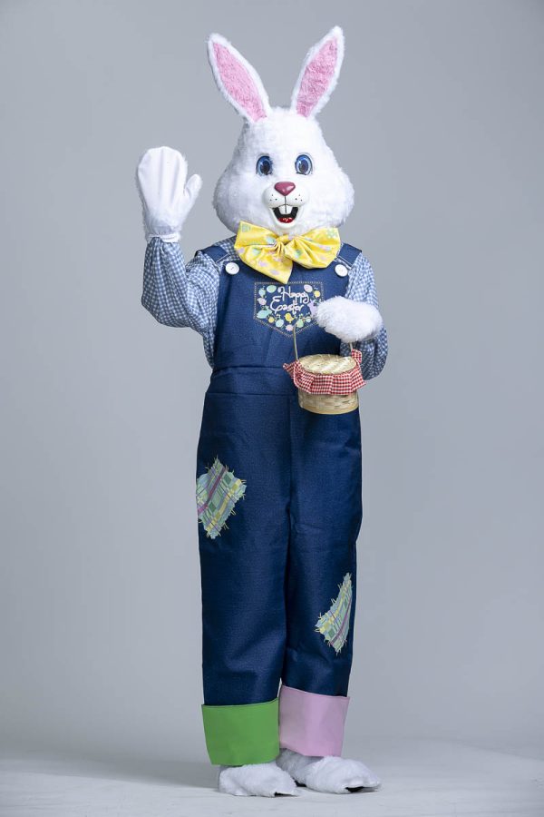 Easter Bunny Outfit - Image 2