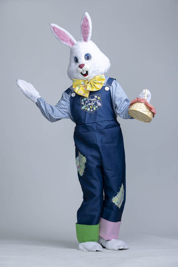 Easter Bunny Outfit - Image 6
