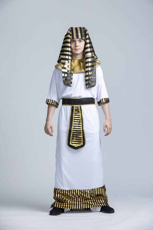 Egyptian Pharaoh - Image 3