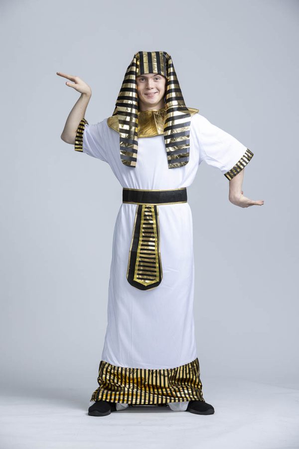 Egyptian Pharaoh - Image 2